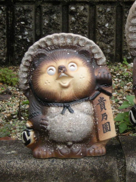 tanuki